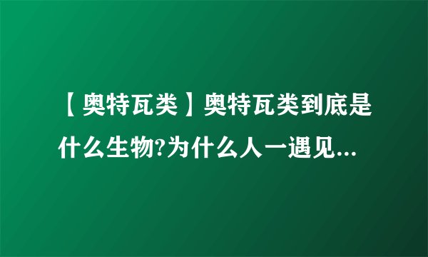 【奥特瓦类】奥特瓦类到底是什么生物?为什么人一遇见必死无疑...