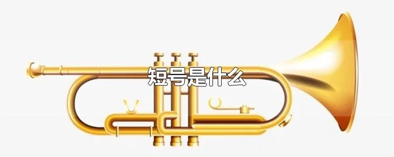 短号是什么