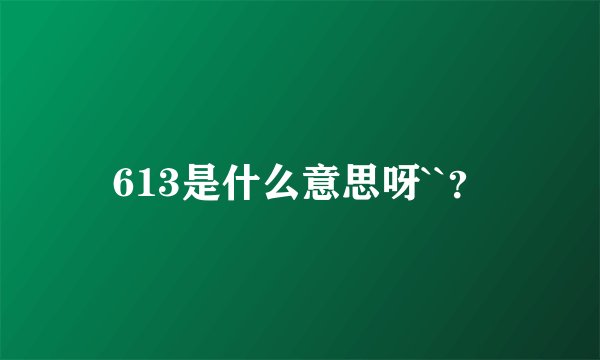 613是什么意思呀``？