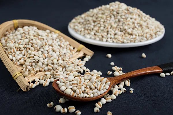 薏米怎么吃最除湿