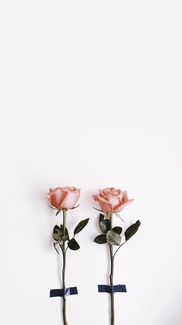 唯美图片伤感图片?