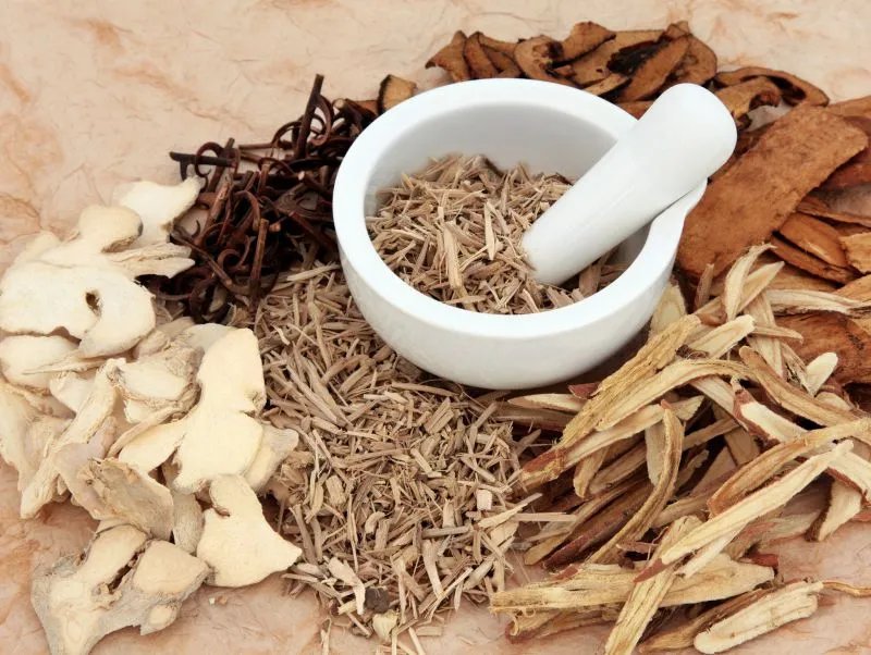 芍药花的功效与作用