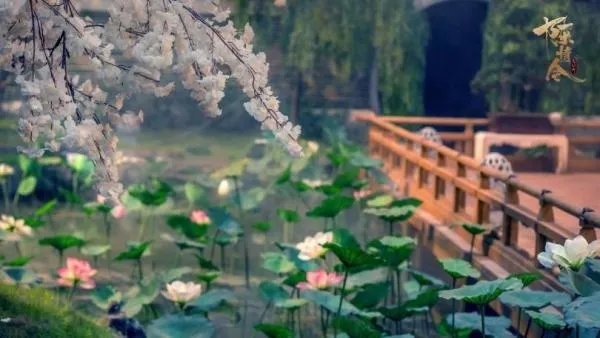 陈情令豆瓣评价