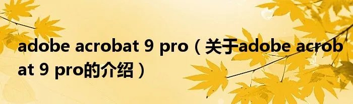 adobe acrobat 9 pro（关于adobe acrobat 9 pro的介绍）
