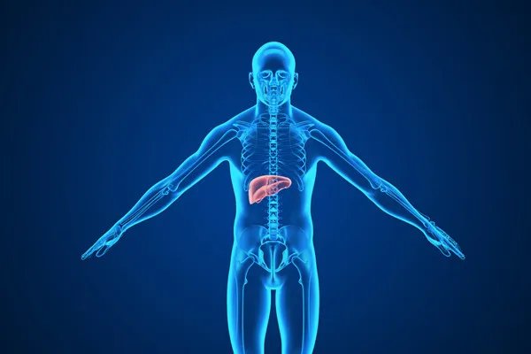 白鲜皮的作用与功效