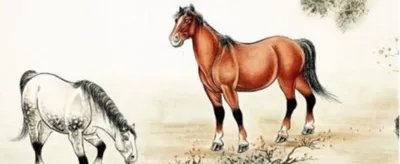 90年属什么生肖?多少岁?