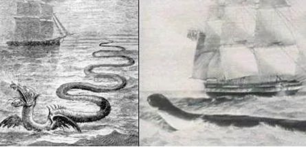传说中的大海蛇,已经有几千年目击记录,为什么没留下任何证据?