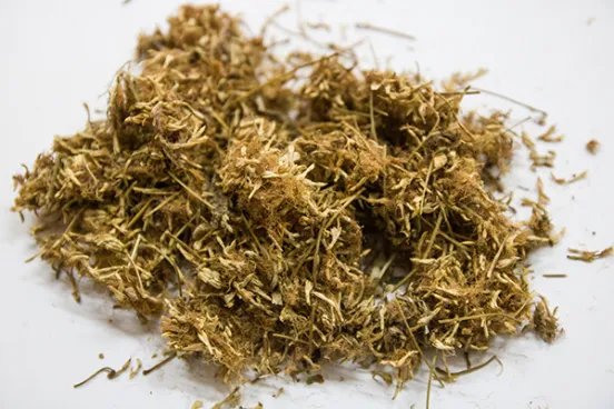 合欢花的功效与作用是什么