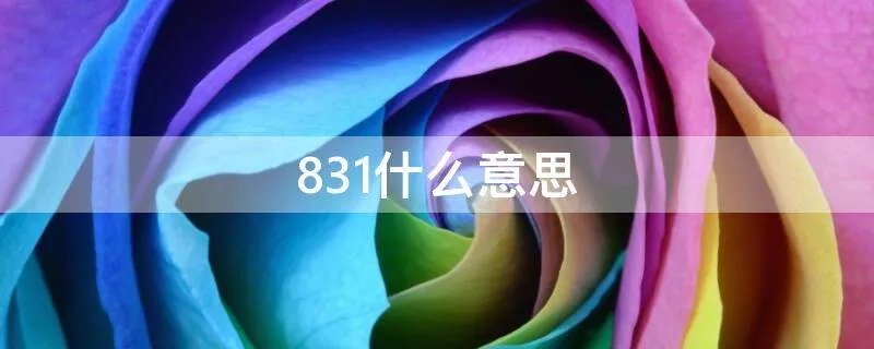 831什么意思