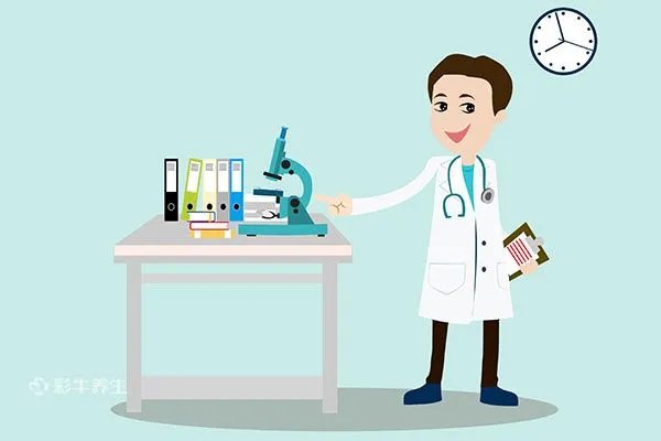 萹蓄的功效与作用