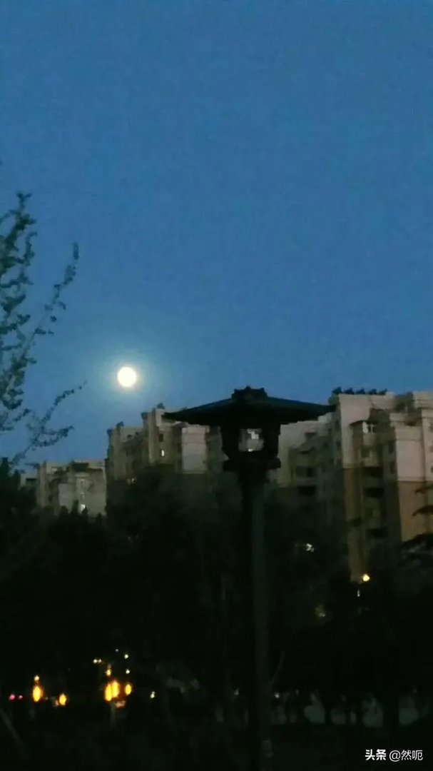 普通人怎么拍出好看的照片？