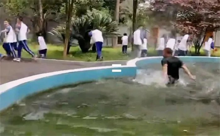 全班把老师扔进水池寓意集体上岸 师生关系很好
