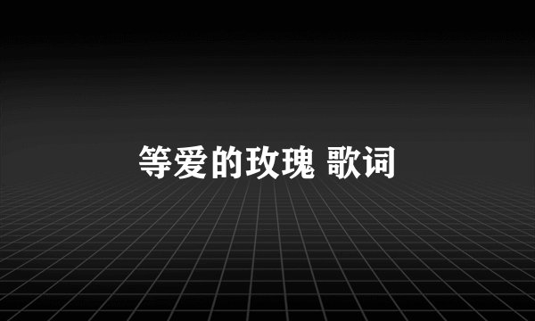 等爱的玫瑰 歌词