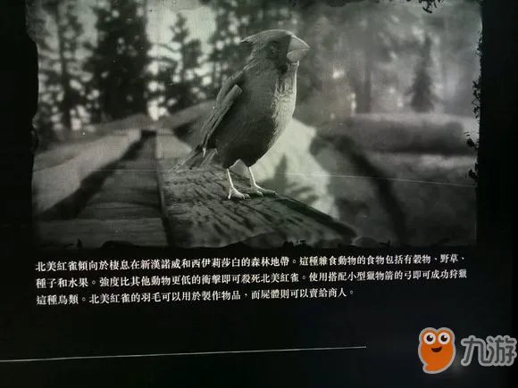 《荒野大镖客2》北美红雀红腹啄木鸟位置 北美红雀红腹啄木鸟猎杀位置