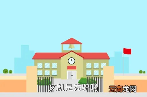 文凯同学，文凯是秃驴吗