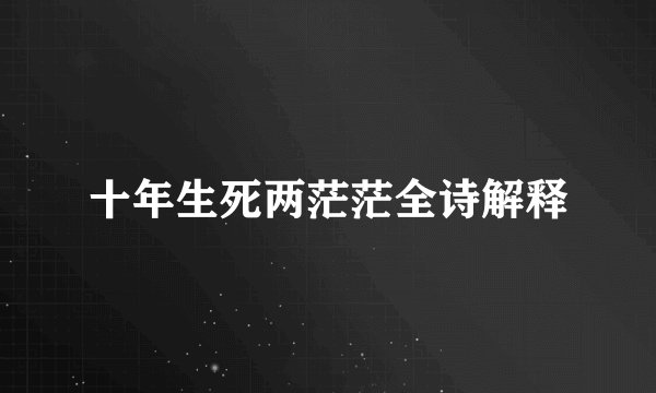 十年生死两茫茫全诗解释