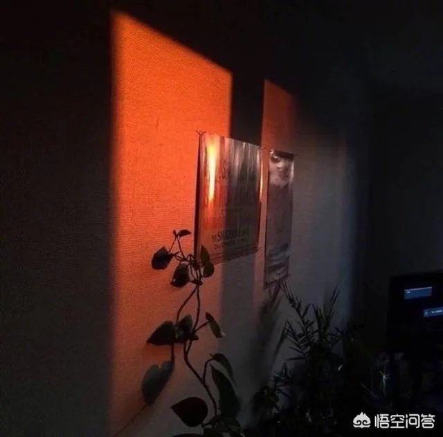 唯美图片伤感图片?