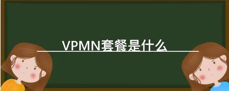VPMN套餐是什么