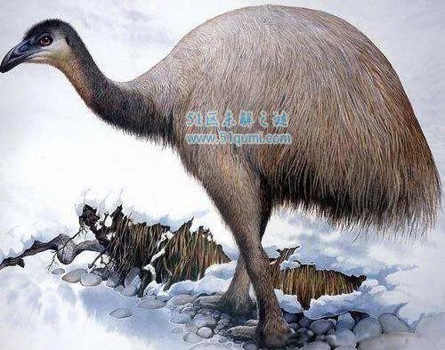 远古蜈蚣虫图片长什么样子 世界上最大的远古蜈蚣虫有多大