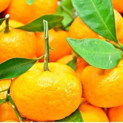 帕金森症要怎么锻炼