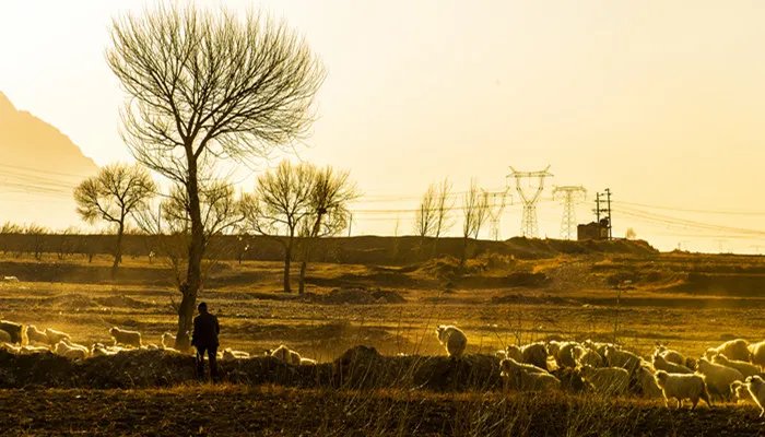 一坪是多少平米