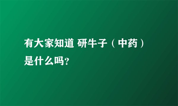 有大家知道 研牛子(中药) 是什么吗?
