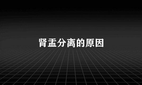 肾盂分离的原因