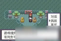 《口袋妖怪》漆黑的魅影攻略大全