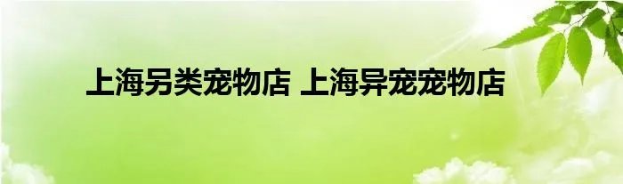 上海另类宠物店 上海异宠宠物店