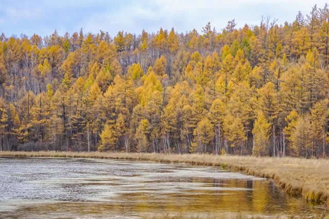 中国十大最美赏秋胜地