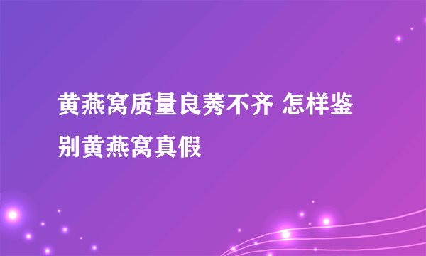黄燕窝质量良莠不齐 怎样鉴别黄燕窝真假