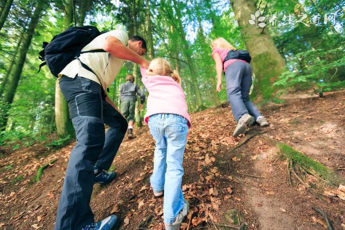 无患子叶的功效与作用