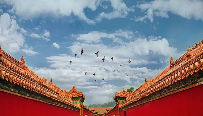 同治帝怎么死的