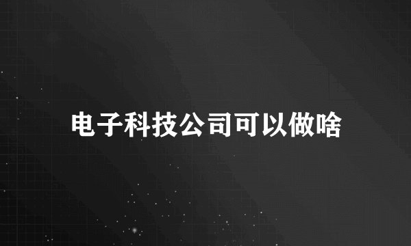 电子科技公司可以做啥