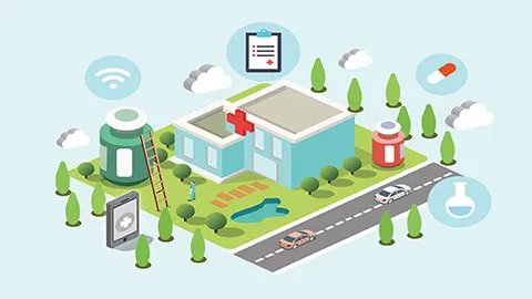 发芽的红薯能吃吗