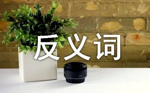 抱怨的反义词是什么