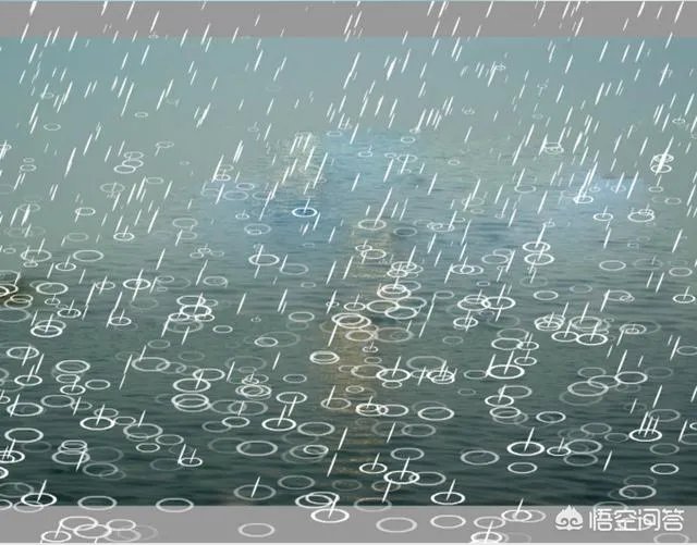 Rain Cats and Dogs翻译为倾盆大雨，为什么英文里用到猫和狗？