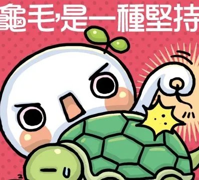 “龟毛”是什么意思？