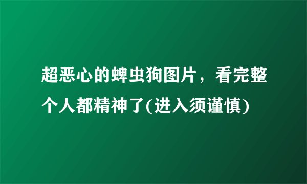 超恶心的蜱虫狗图片，看完整个人都精神了(进入须谨慎)