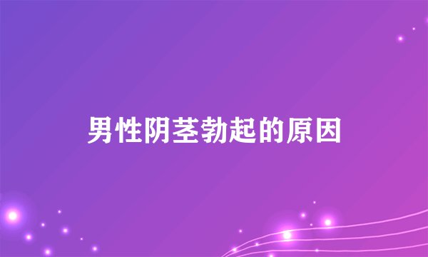 男性阴茎勃起的原因