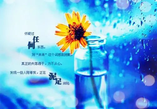 重生六零我的储物空间小说 李思雨林城全章节阅读