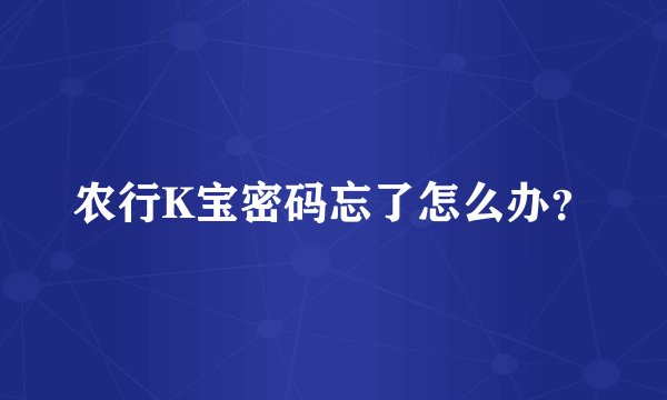 农行K宝密码忘了怎么办？