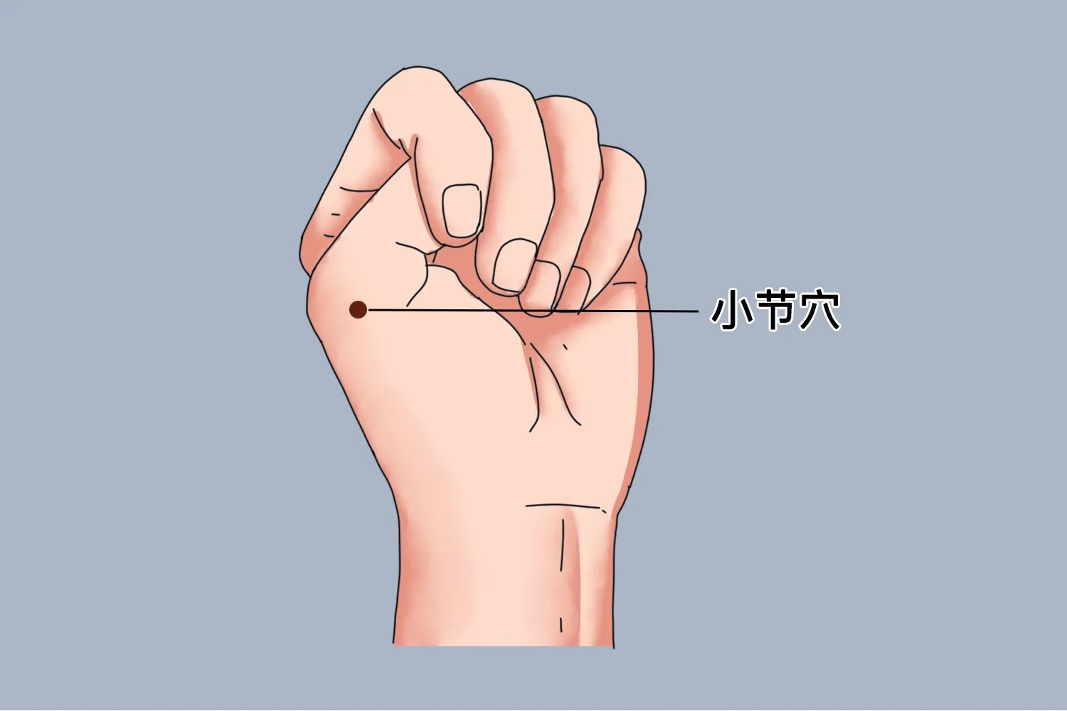 董氏针灸小结定位图