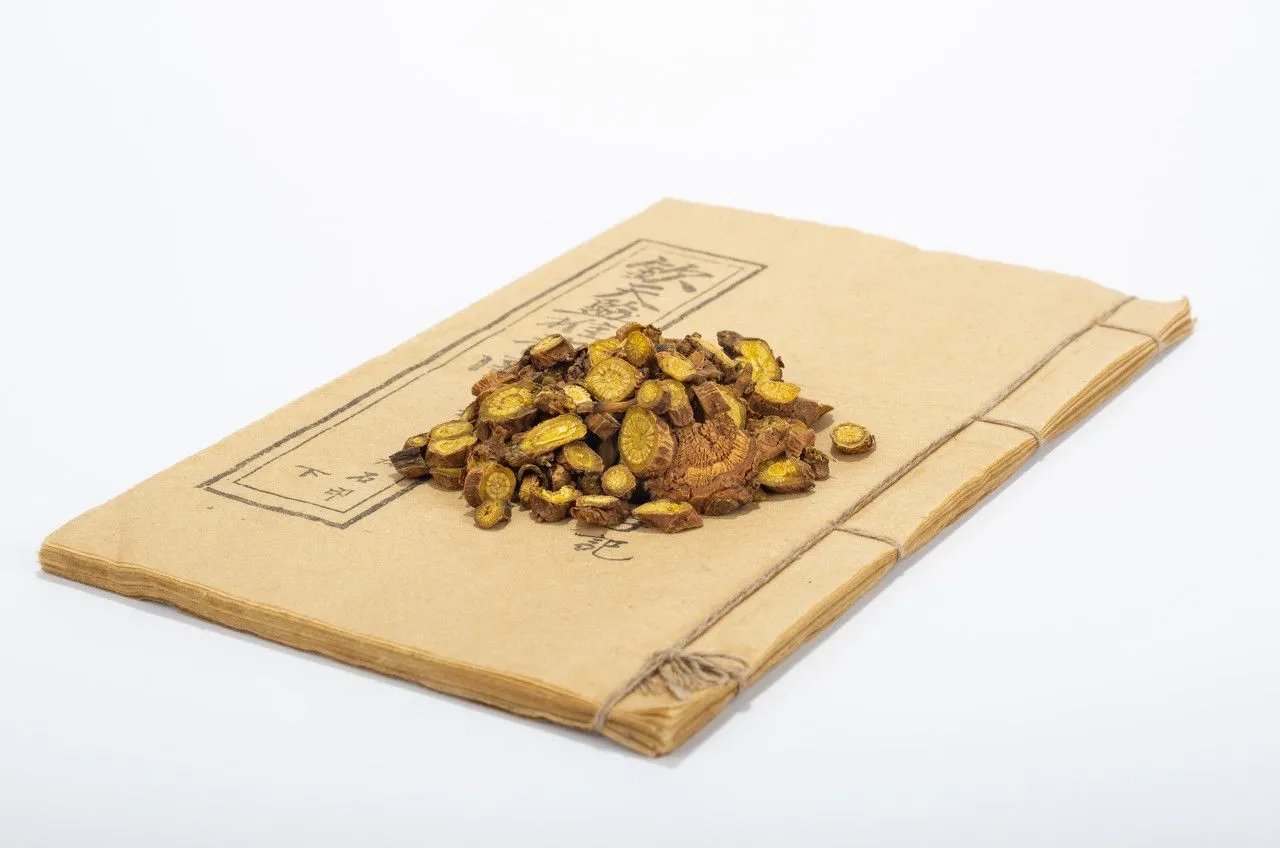 野生黄芩图片大全