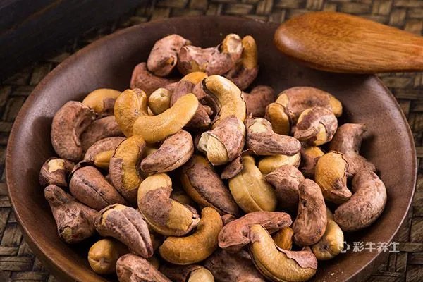 腰果的营养价值及功效