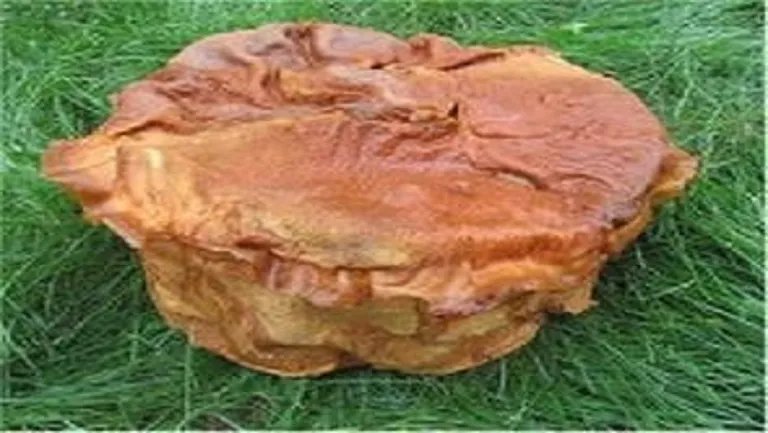 石太岁的功效与作用