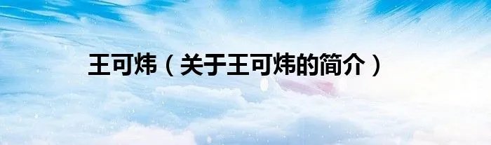 王可炜（关于王可炜的简介）
