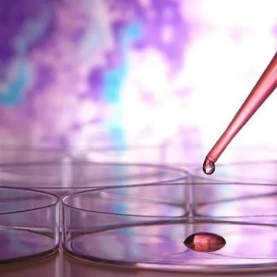 出血热能治好吗