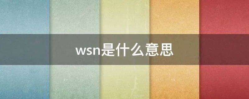 wsn是什么意思