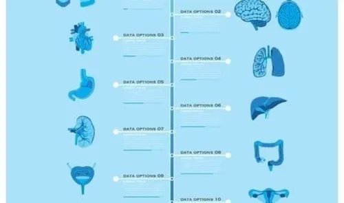 与众不同!喜安智奶粉评测
